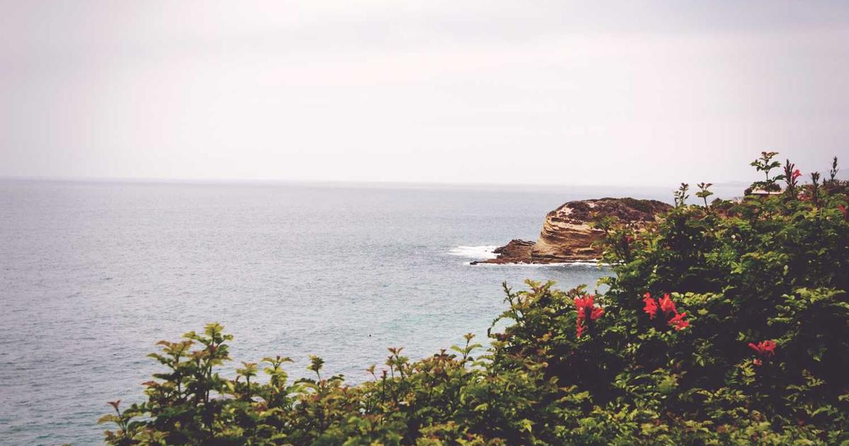 Jirai Kei: Exploring the Latest Japanese Fashion Movement