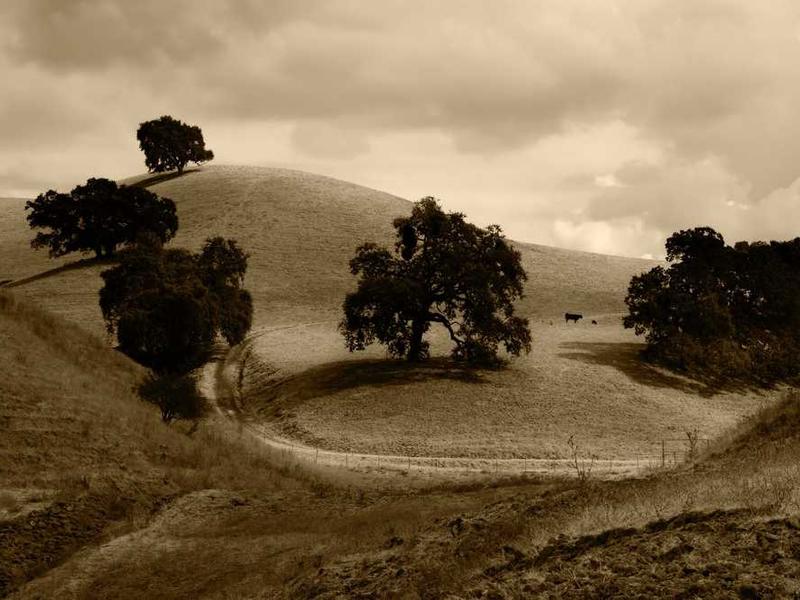 Best Practices And Expert Tips illustration