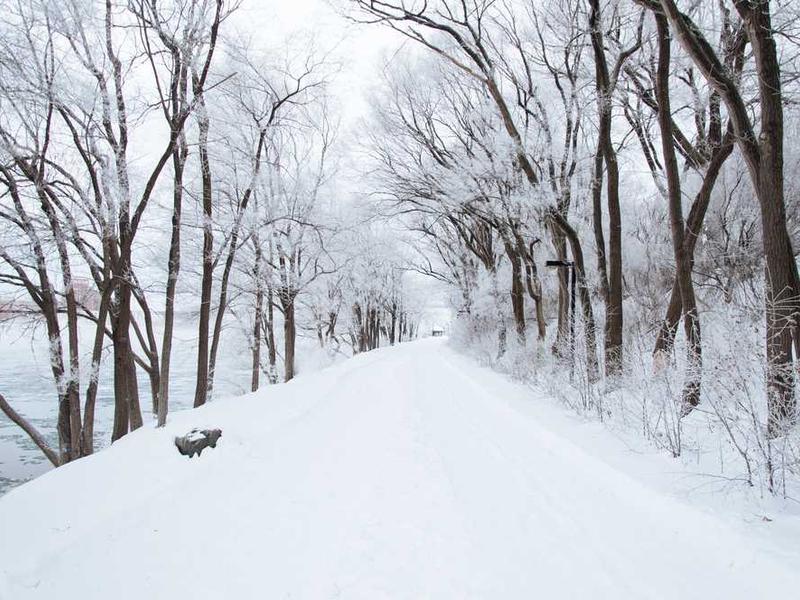 Understanding Making Transcription Easier With Whisper Ai illustration