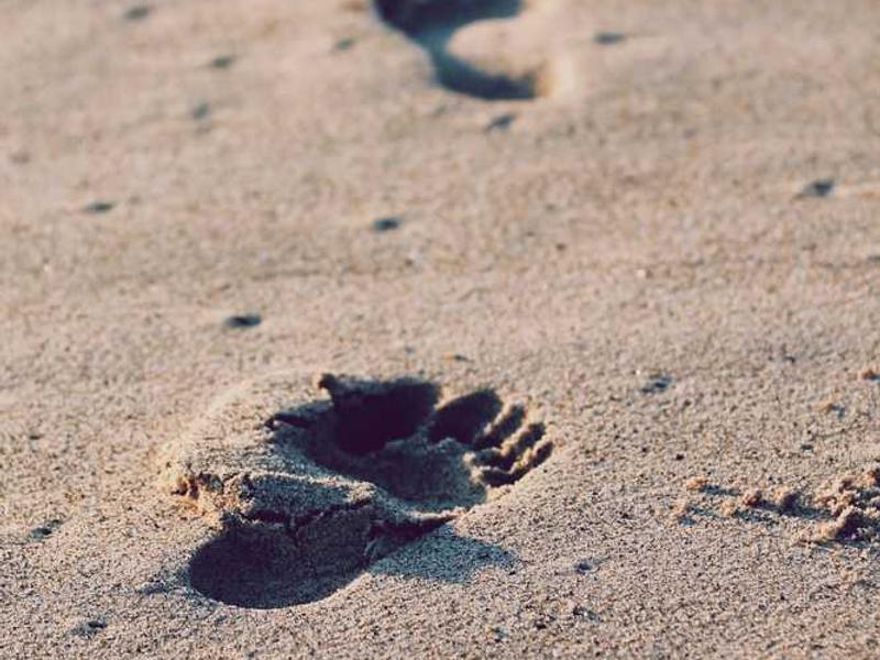 Tools And Resources illustration