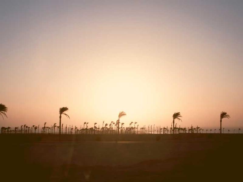 Future Trends And What To Expect illustration