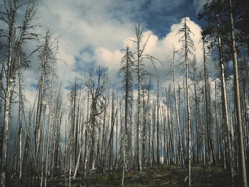 Understanding Maximizing Social Media Results With Dripify Tools illustration