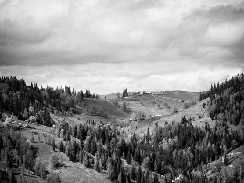 Future Trends And What To Expect illustration