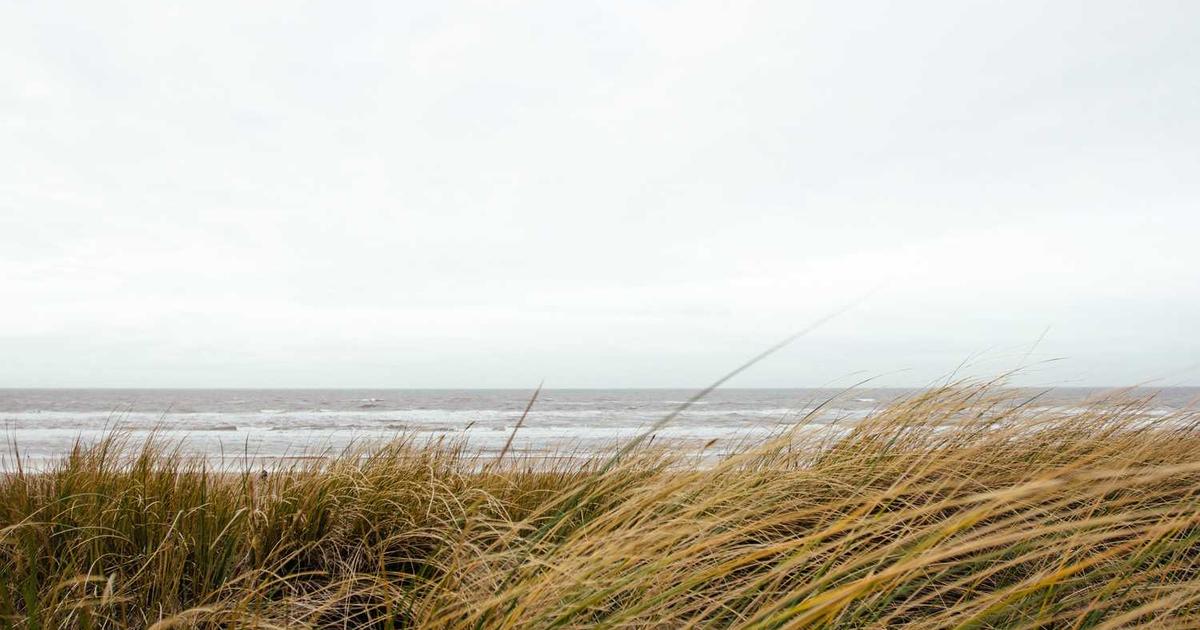 Simplifying Global Travel With eSim Technology