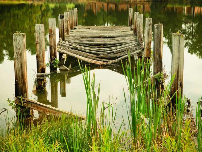 Future Trends And What To Expect illustration