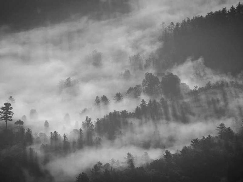 How To Get Started: Step-By-Step Guide illustration