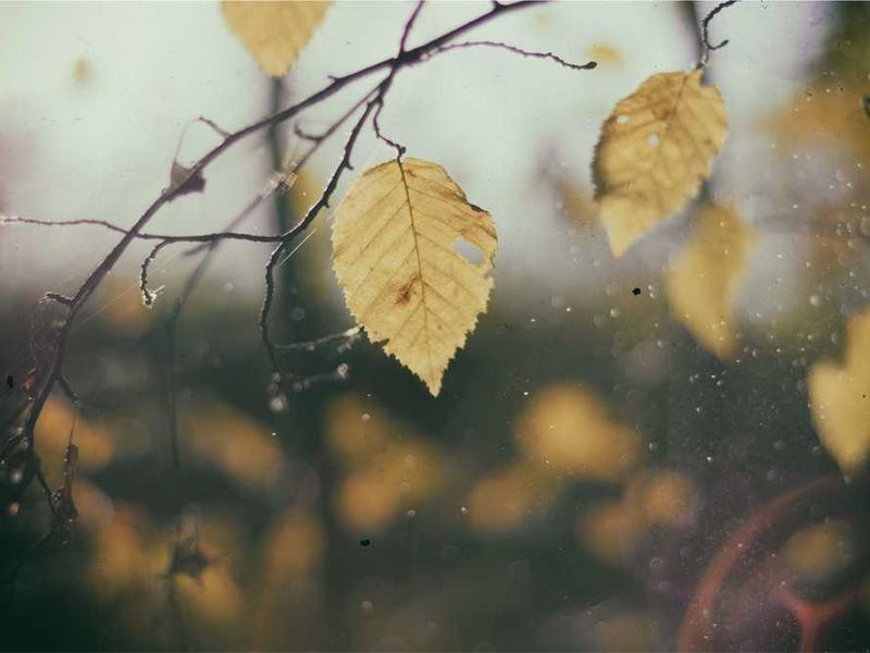 Key Benefits And Advantages illustration