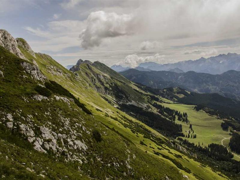 Future Trends And What To Expect illustration