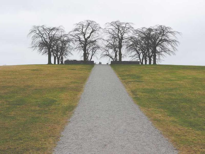 Tools And Resources illustration