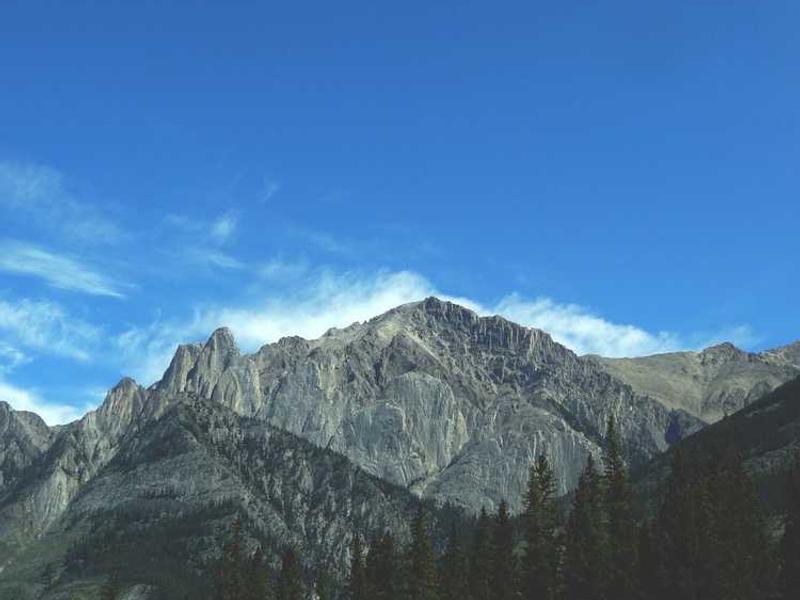 Future Trends And What To Expect illustration