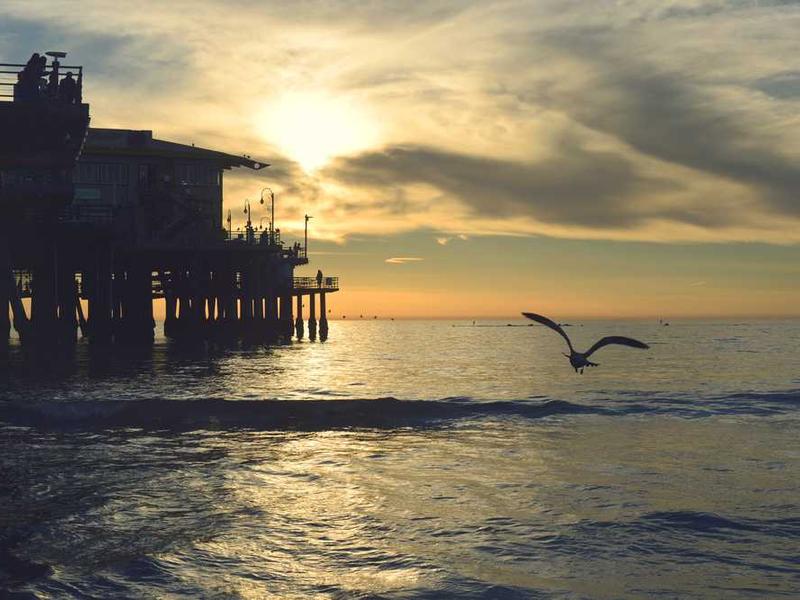 Real-World Applications And Use Cases illustration