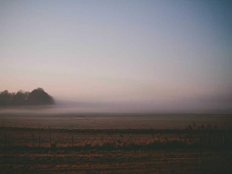 Best Practices And Expert Tips illustration