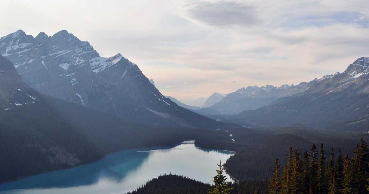 The Role of AI Hubs in Advancing Technology