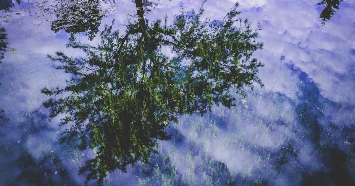 Tips for Applying Lash Clusters Safely