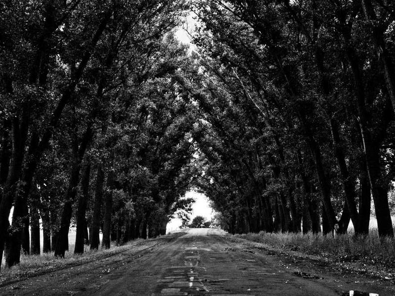 Future Trends And What To Expect illustration