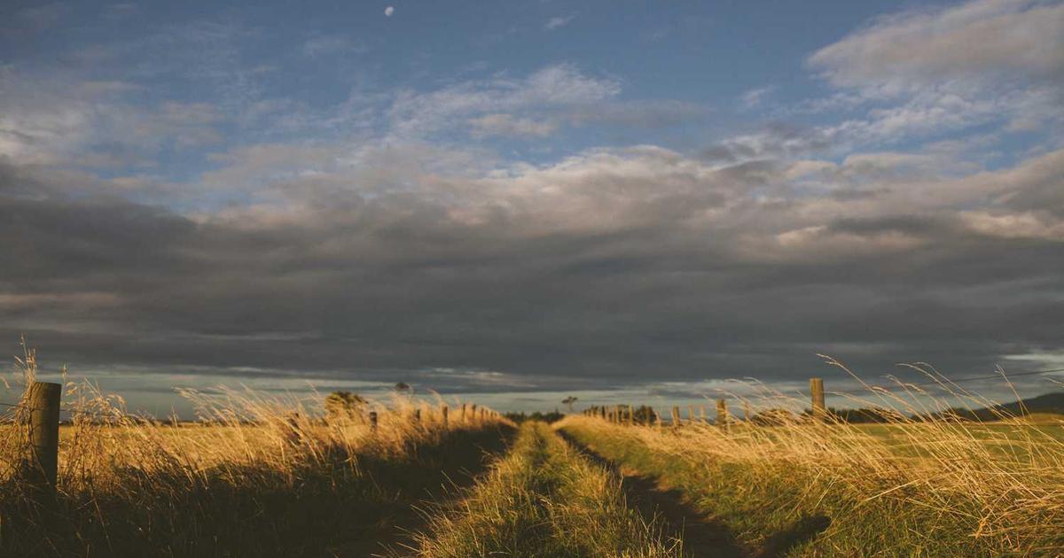 Travel Comfort Essentials: Best Neck Pillows Reviewed