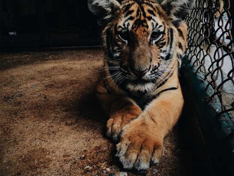 Why This Matters In 2025 illustration