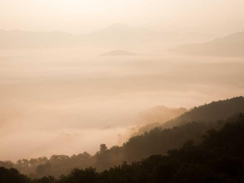 Understanding Trends In Lash Cluster Beauty Techniques illustration