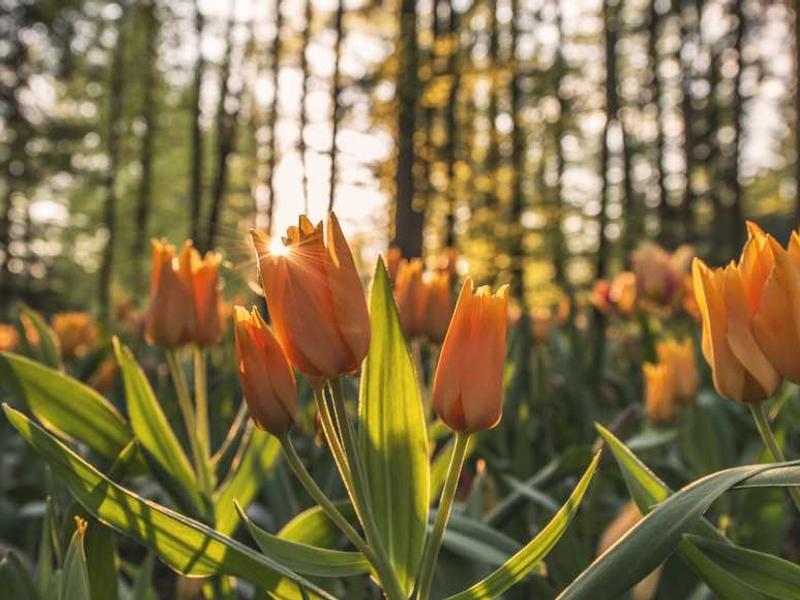 Future Trends And What To Expect illustration