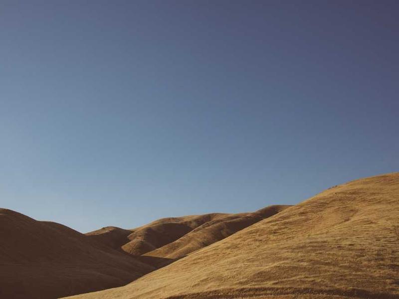 Understanding Understanding Bakuchiol Eye Creams For Daily Skincare illustration