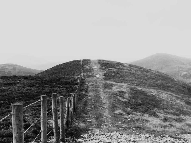 Future Trends And What To Expect illustration