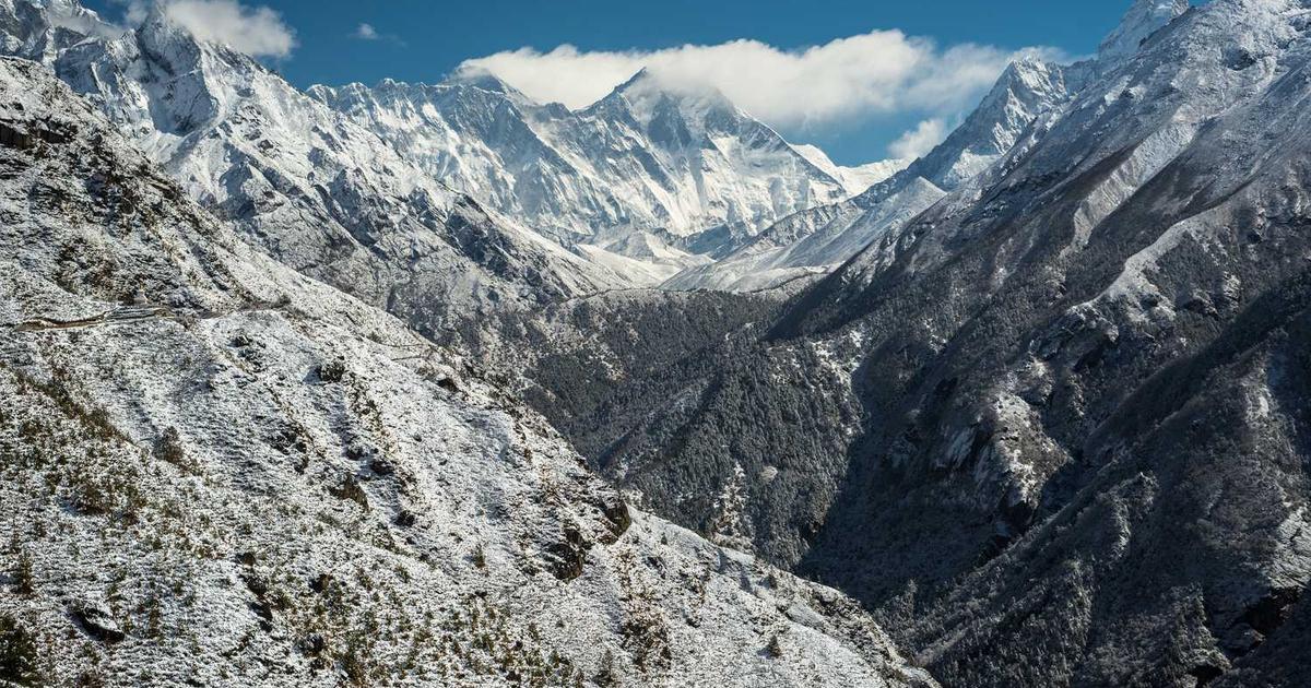 Understanding Metal Detox Shampoos for Healthy Hair