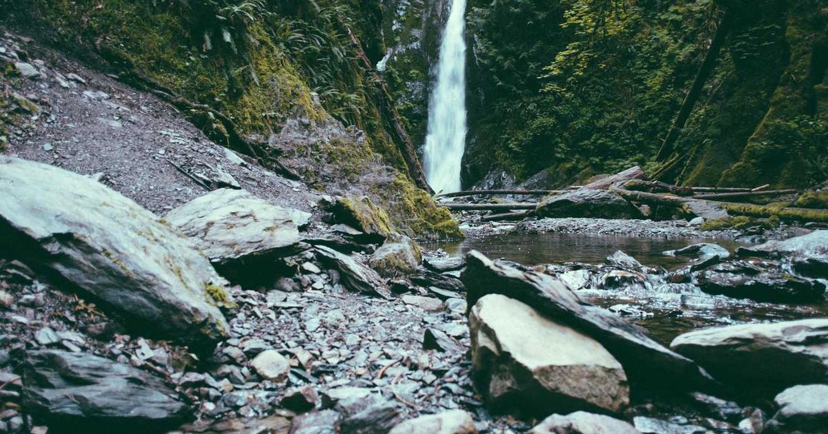 Understanding the Growing Role of the Fractional CFO