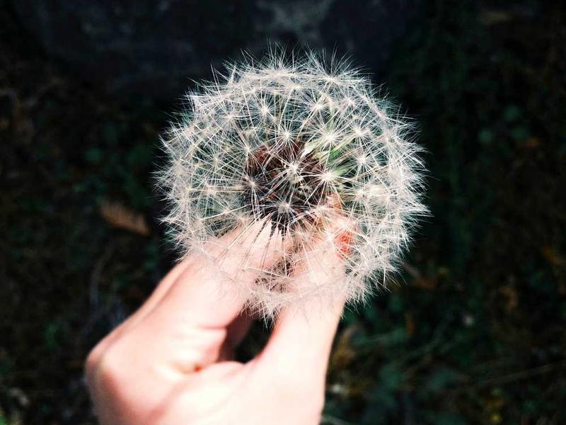 How To Get Started: Step-By-Step Guide illustration