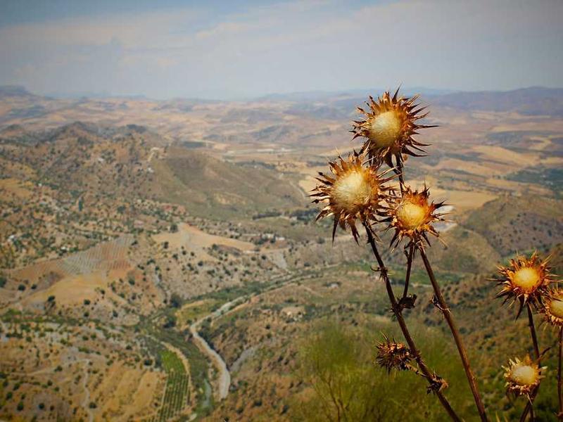 Key Benefits And Advantages illustration