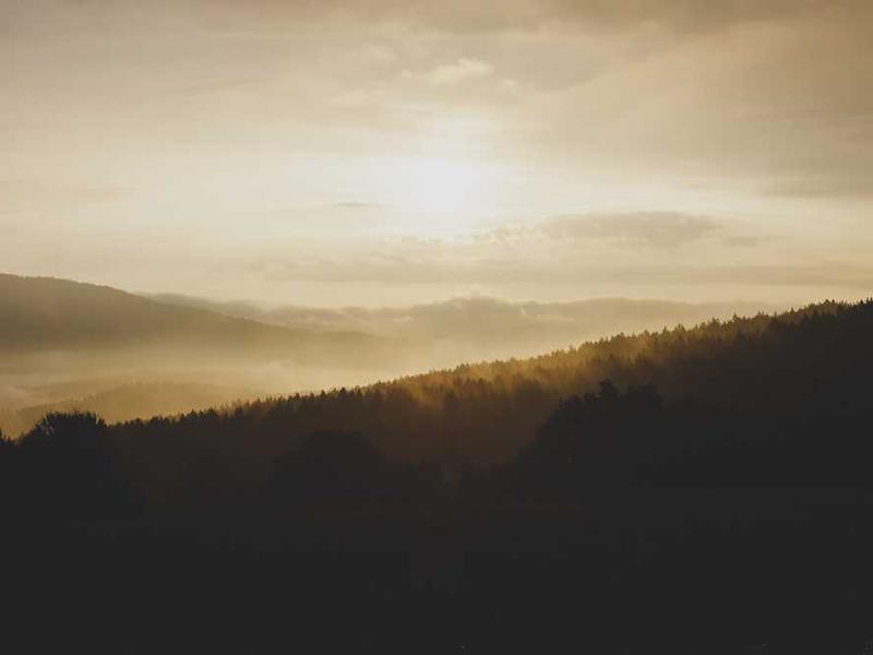 Future Trends And What To Expect illustration