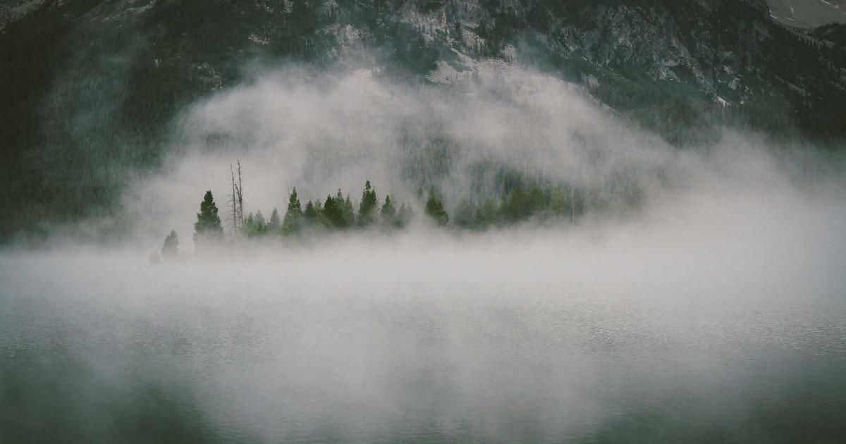 Whimsigoth: Understanding Eclectic Design Trends