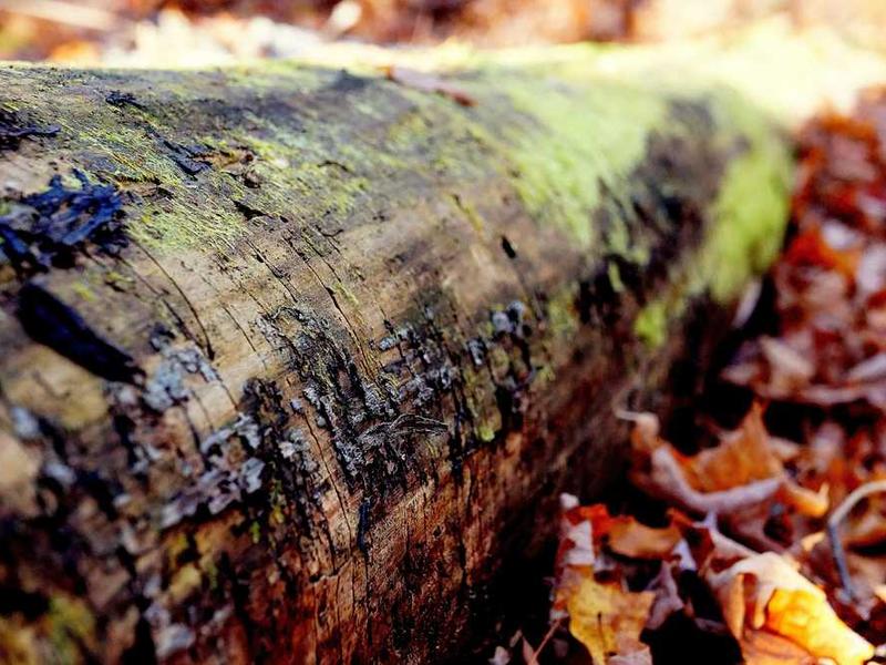 How To Get Started: Step-By-Step Guide illustration