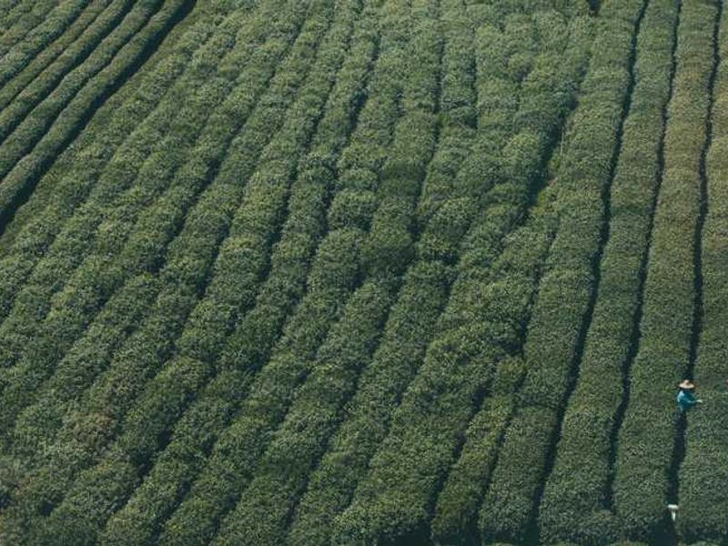 Tools And Resources illustration