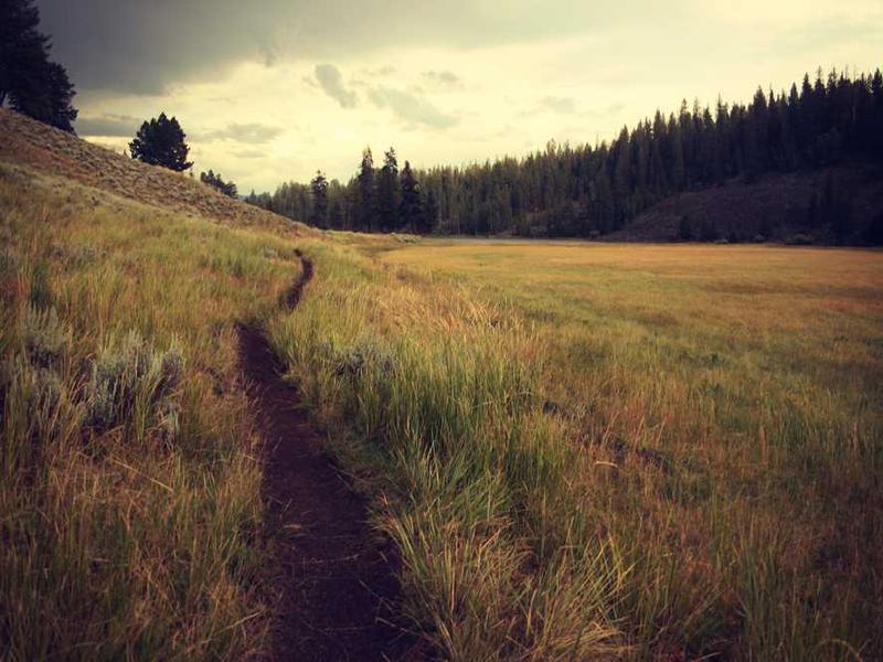 Why This Matters In 2025 illustration