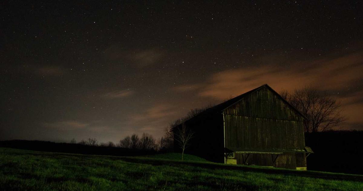 Why Guardrails Matter When Using Artificial Intelligence