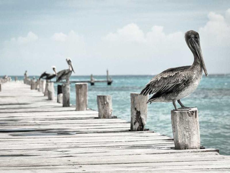 Best Practices And Expert Tips illustration